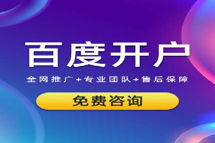 某电商平台的SEM推广策略分析